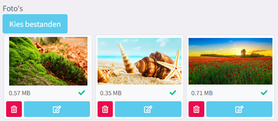 am_fotoalbums_foto's.png